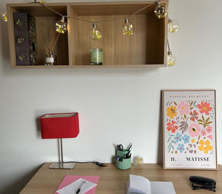  Appartement � louer 1 pi�ce 20 m�