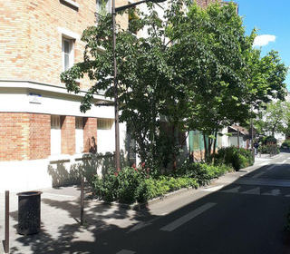  Appartement � louer 3 pi�ces 44 m�