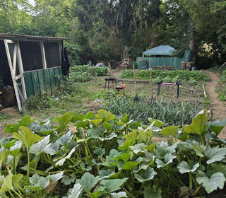  Maison � louer 4 pi�ces 90 m�