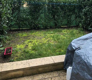  Appartement � louer 2 pi�ces 41 m�