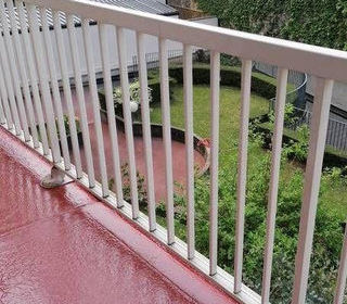  Appartement � louer 1 pi�ce 30 m�