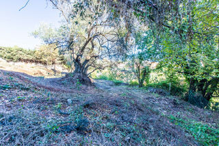  Terrain � vendre 887 m�