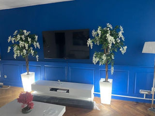  Appartement � louer 2 pi�ces 35 m�