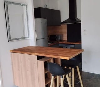  Appartement � louer 2 pi�ces 40 m�