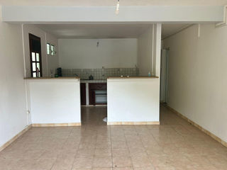  Appartement � louer 3 pi�ces 55 m�