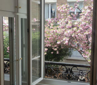  Appartement � louer 1 pi�ce 17 m�