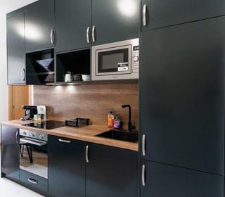  Appartement � louer 2 pi�ces 24 m�