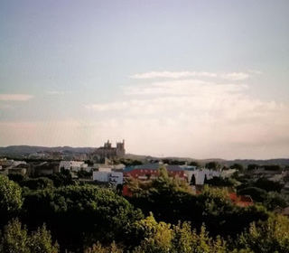  Appartement � louer 1 pi�ce 20 m�