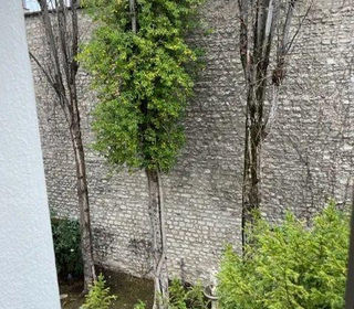  Appartement � louer 1 pi�ce 12 m�