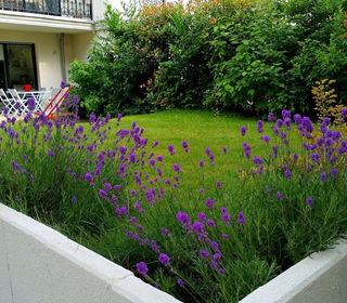  Appartement � louer 2 pi�ces 40 m�