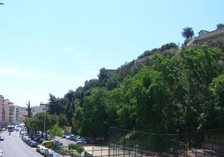  Appartement � louer 1 pi�ce 27 m�