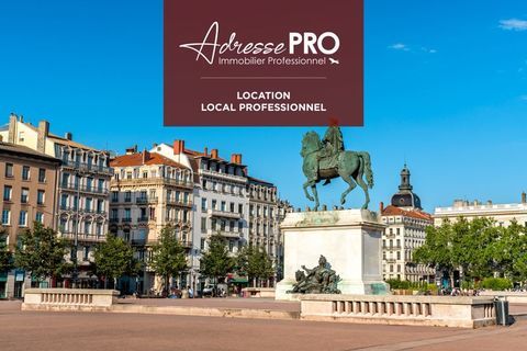 Local professionnel 1350 69003 Lyon 03
