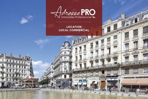 Local professionnel 2083 69006 Lyon 06