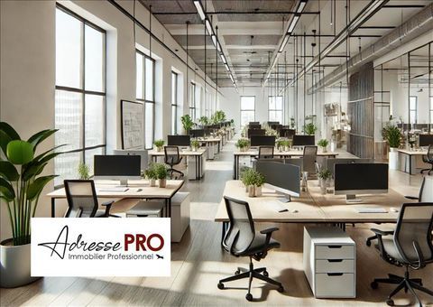 Murs commerciaux 1143788 33800 Bordeaux