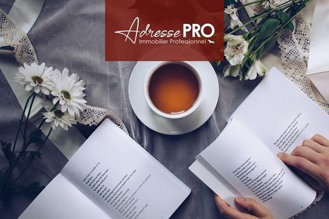 Local professionnel 2233 69003 Lyon 03