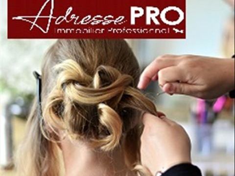 Local professionnel 3709 64100 Bayonne