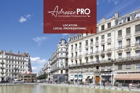 Local professionnel 1991 69006 Lyon 06