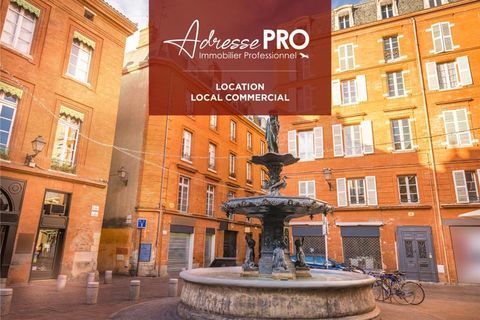 Local professionnel 1400 31400 Toulouse