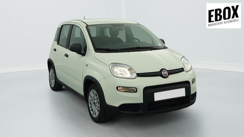 Fiat Panda 1.0 70 CH HYBRID BSG S S 2024 occasion H&eacute;nin-Beaumont 62110