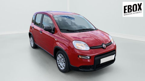 Fiat Panda 1.0 70 ch Hybrid BSG S S City 2024 occasion H&eacute;nin-Beaumont 62110