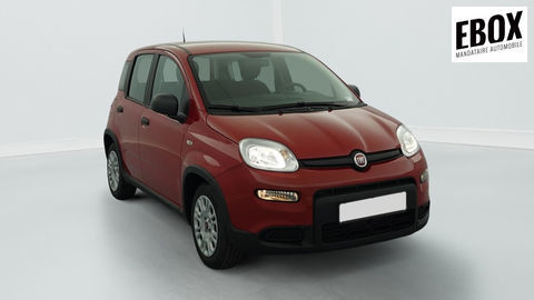 Fiat Panda 1.0 70 CH HYBRID BSG S S 2024 occasion H&eacute;nin-Beaumont 62110