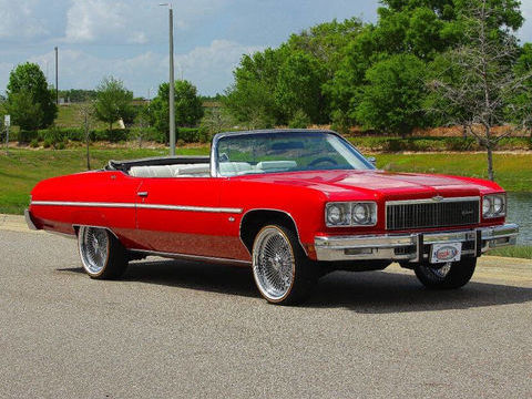 Chevrolet Divers 1975 1975 occasion Lyon 69002