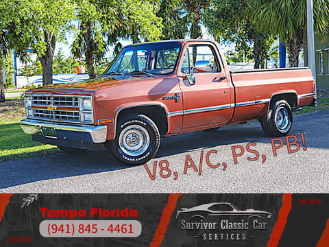 Chevrolet Divers 1983 1983 occasion Lyon 69002