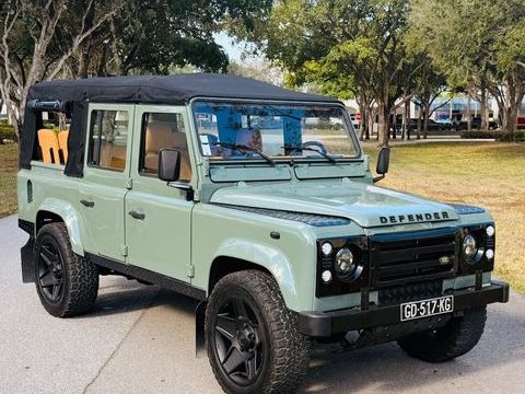 Land-Rover Defender 1988 1988 occasion Lyon 69002