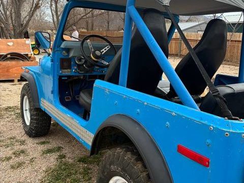 Jeep Cherokee 1978 1978 occasion Lyon 69002