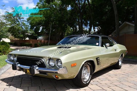 Dodge Challenger 1973 1973 occasion Lyon 69002