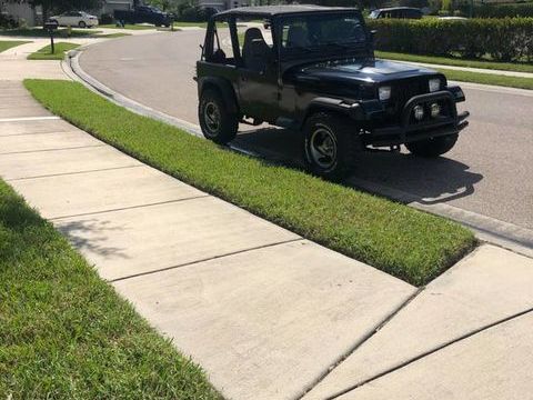 Jeep Wrangler 1993 1993 occasion Lyon 69002