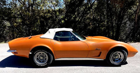 Chevrolet Corvette 1973 1973 occasion Lyon 69002