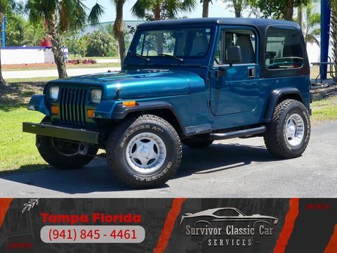 Jeep Wrangler 1995 1995 occasion Lyon 69002