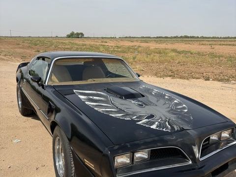 Pontiac TransSport 1978 1978 occasion Lyon 69002