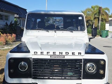 Land-Rover Defender 1994 1994 occasion Lyon 69002
