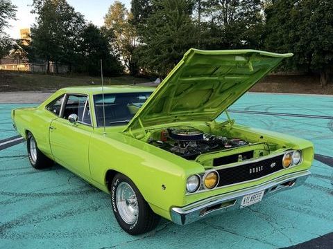 Dodge Divers 1968 1968 occasion Lyon 69002