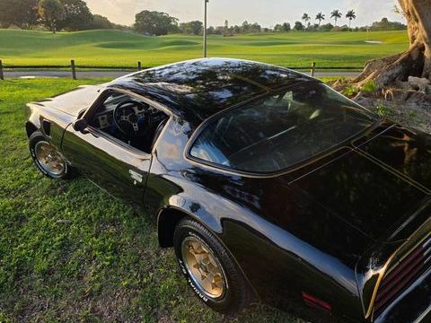 Pontiac Firebird 1976 1976 occasion Lyon 69002