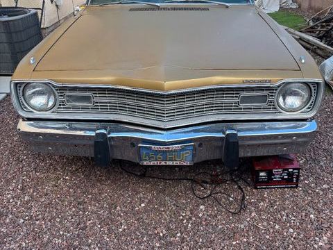 Dodge Divers 1973 1973 occasion Lyon 69002