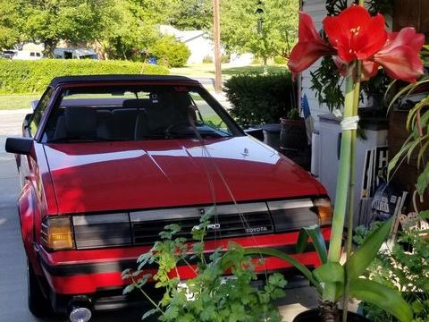 Toyota Celica 1985 1985 occasion Lyon 69002