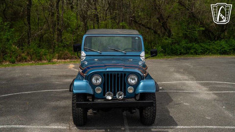 Jeep Divers 1976 1976 occasion Lyon 69002