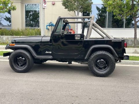 Jeep Wrangler 1989 1989 occasion Lyon 69002