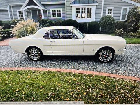 Ford Mustang 1966 1966 occasion Lyon 69002