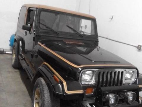 Jeep Wrangler 1987 1987 occasion Lyon 69002