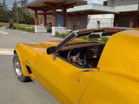 Chevrolet Corvette 1973 1973 occasion Lyon 69002