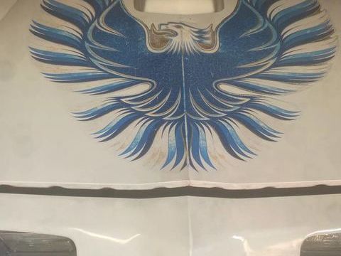 Pontiac Firebird 1980 1980 occasion Lyon 69002