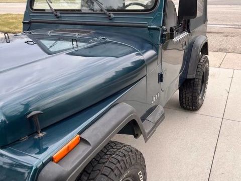 Jeep Wrangler 1995 1995 occasion Lyon 69002