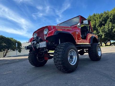 Jeep Divers 1978 1978 occasion Lyon 69002