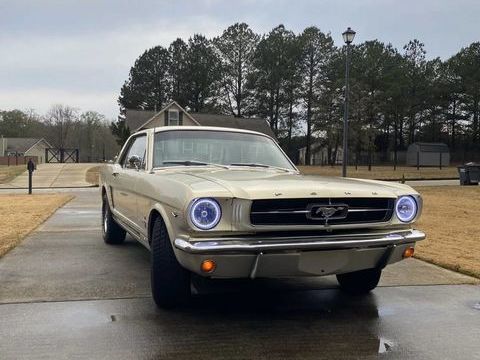 Ford Mustang 1965 1965 occasion Lyon 69002