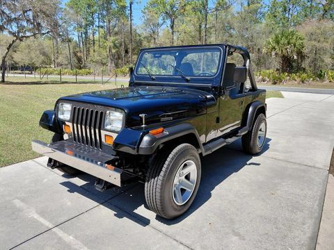Jeep Wrangler 1990 1990 occasion Lyon 69002