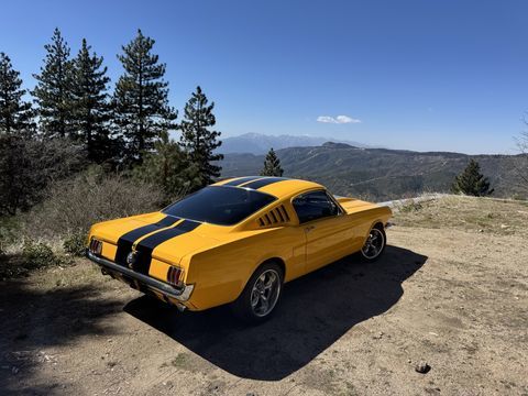 Ford Mustang 1966 1966 occasion Lyon 69002